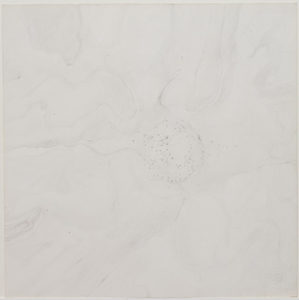 BCO_BCO_P2285-001