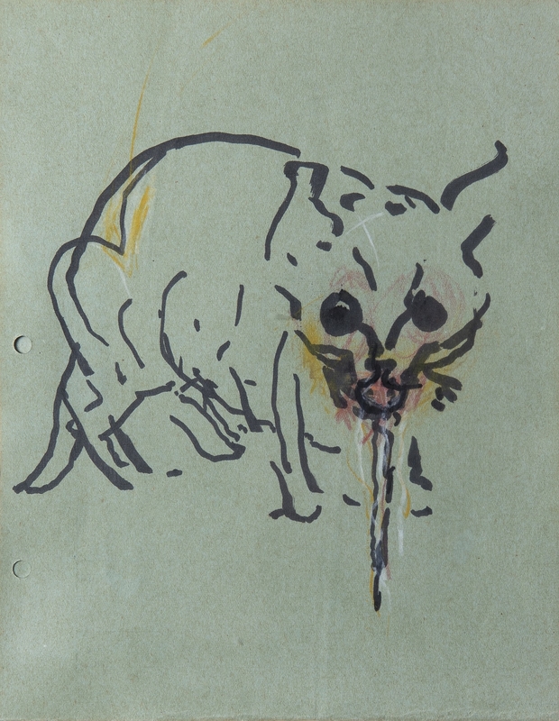 Cat Vomiting