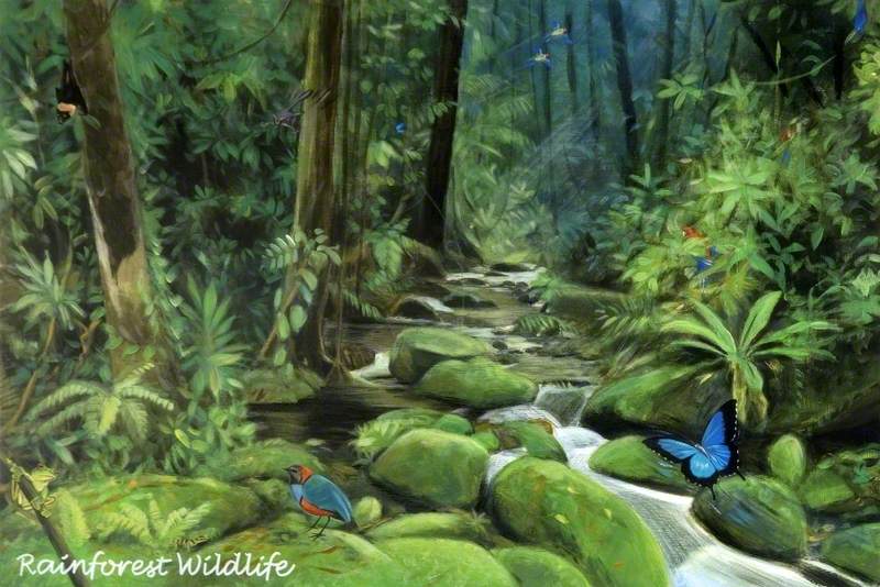'Dreams of Australia' Series, Rainforest Wildlife
