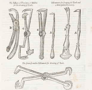 EDII_RCPY_C_3_5_13-001.jpg