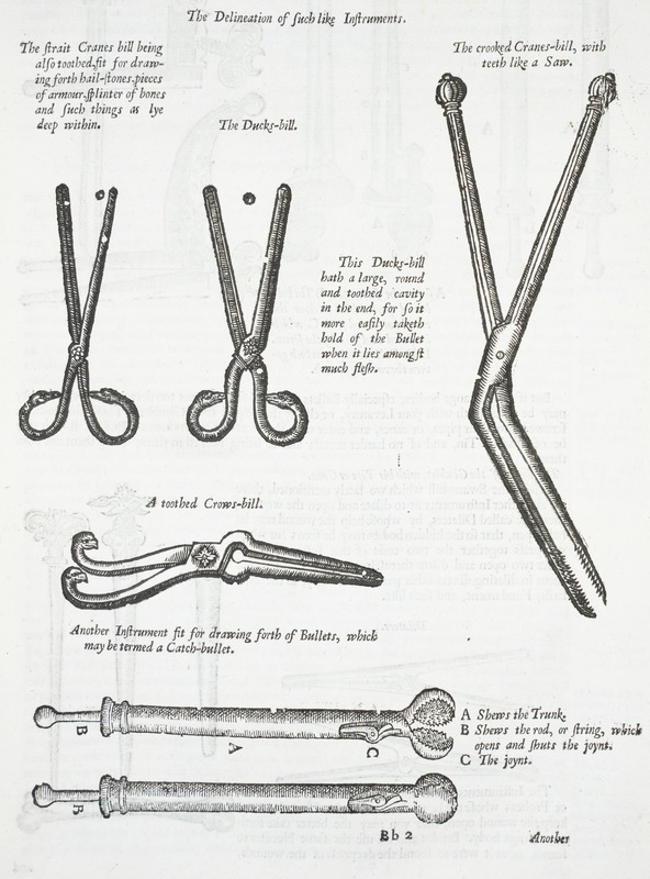 Teeth Files and Teeth Forceps