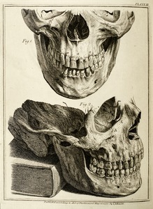EDII_RCPY_E_9_50-001.jpg
