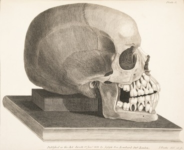 EDII_RCPY_V_6_2-001.jpg