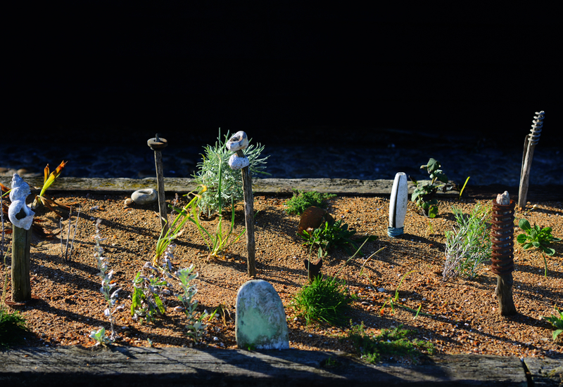 Derek Jarman's Garden #9