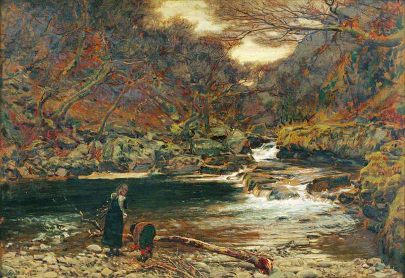 View on the Lyn near Watersmeet, North Devon