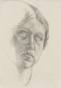 NPG_NPG_6736-001
