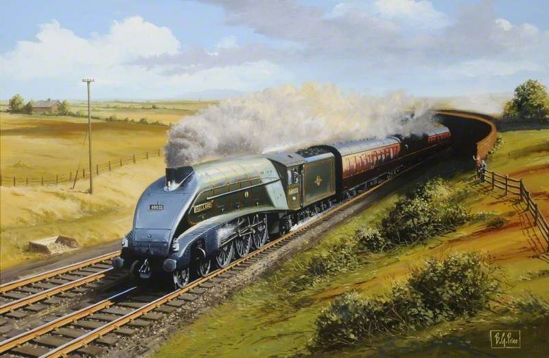 'Mallard'