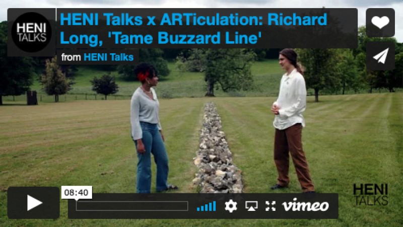 tame-buzzard-line-1.jpg